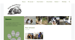 Desktop Screenshot of huizezwerfhond.nl